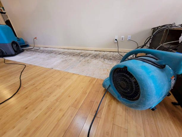 Professional Water Damage Repair technician working in Harrah, WA